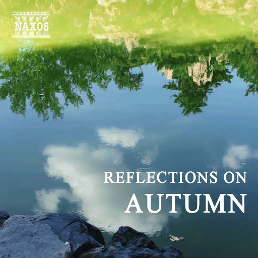 偷窃蹲便3免费观看全集
